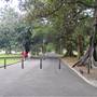 The Domain