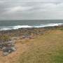 Bass Point Reserve
