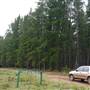 Belanglo State Forest