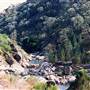 Adelong Falls