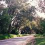 Albury