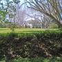 Alstonville