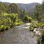 Armidale to Kempsey Road
