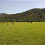 Armidale to Kempsey Road