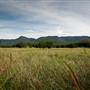 Bellinger Valley
