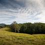 Bellinger Valley