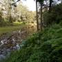 Bellinger Valley