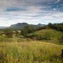 Bellinger Valley