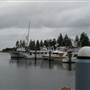Bermagui
