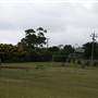 Bermagui
