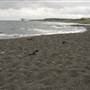 Black Sand Beach, Bass Point Reserve & Shell Cove
