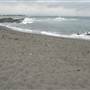 Black Sand Beach, Bass Point Reserve & Shell Cove