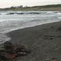 Black Sand Beach, Bass Point Reserve & Shell Cove