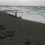 Black Sand Beach, Bass Point Reserve & Shell Cove