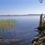 Northern Broadwater Picnic Area