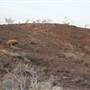 Broken Hill Roads