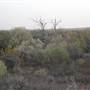 Broken Hill Roads