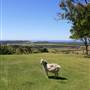Byron Bay-Fourwinds