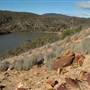 Captains Flat Dam