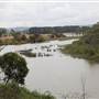 Cecil Hoskins Nature Reserve Moss Vale