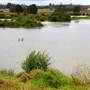 Cecil Hoskins Nature Reserve Moss Vale