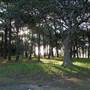 Centennial Park