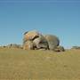 Dalgety/Cooma