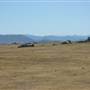 Dalgety/Cooma