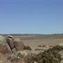Dalgety/Cooma