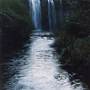 Dangar Falls and Cascades near Dorrigo