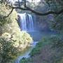 Dangar Falls and Cascades near Dorrigo