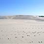 Dark Point Dunes