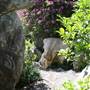 Chinese Garden of Friendship - Darling Harbour