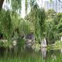 Chinese Garden of Friendship - Darling Harbour