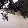 Darling River