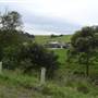 Jamberoo - Saddleback Mountain Road
