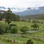Kangaroo Valley