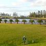 Kiama - Rock Pool North