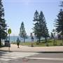 Dee Why Beach