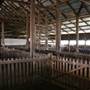 Deeargee Woolshed