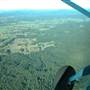 Dorrigo - Aerial Shots