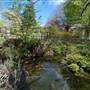 Lady Fairfax Gardens