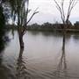 Lake Wyangan, Griffith