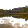Dunns Swamp