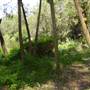 Lane Cove National Park