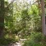 Lane Cove National Park
