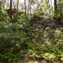Lane Cove National Park