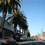 Marrickville - Carrington Road