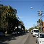 Marrickville - Carrington Road