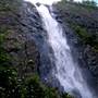 Ellenborough Falls
